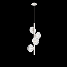 Hammerton CHB0089-T4-BS-C-001-L3 - Mesa Twisted Vine - 4pc