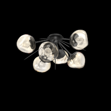Hammerton CLB0095-02-MB-ZA-L1 - Luna Flush Starburst