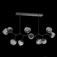 Hammerton PLB0095-BC-MB-ZS-001-L3 - Luna Modern Branch - 10pc