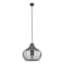 Eglo 205842A - 1 LT Pendant with Structured Black Finish and Vaporized Black Transparent Shade 1-60W E26